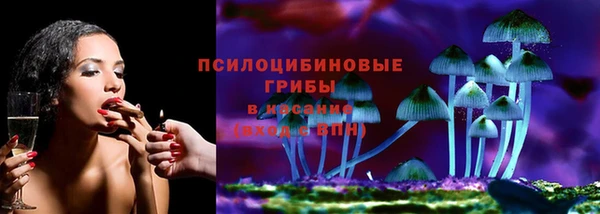 соль ск Алексеевка