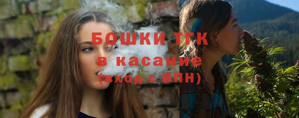соль ск Алексеевка