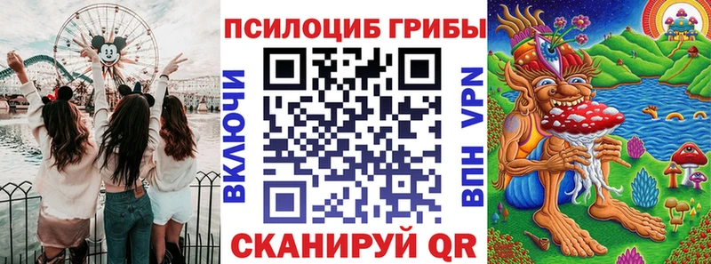 Псилоцибиновые грибы Cubensis  blacksprut маркетплейс  Бежецк 