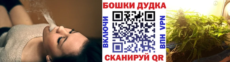 Бошки Шишки семена  hydra ONION  Бежецк 